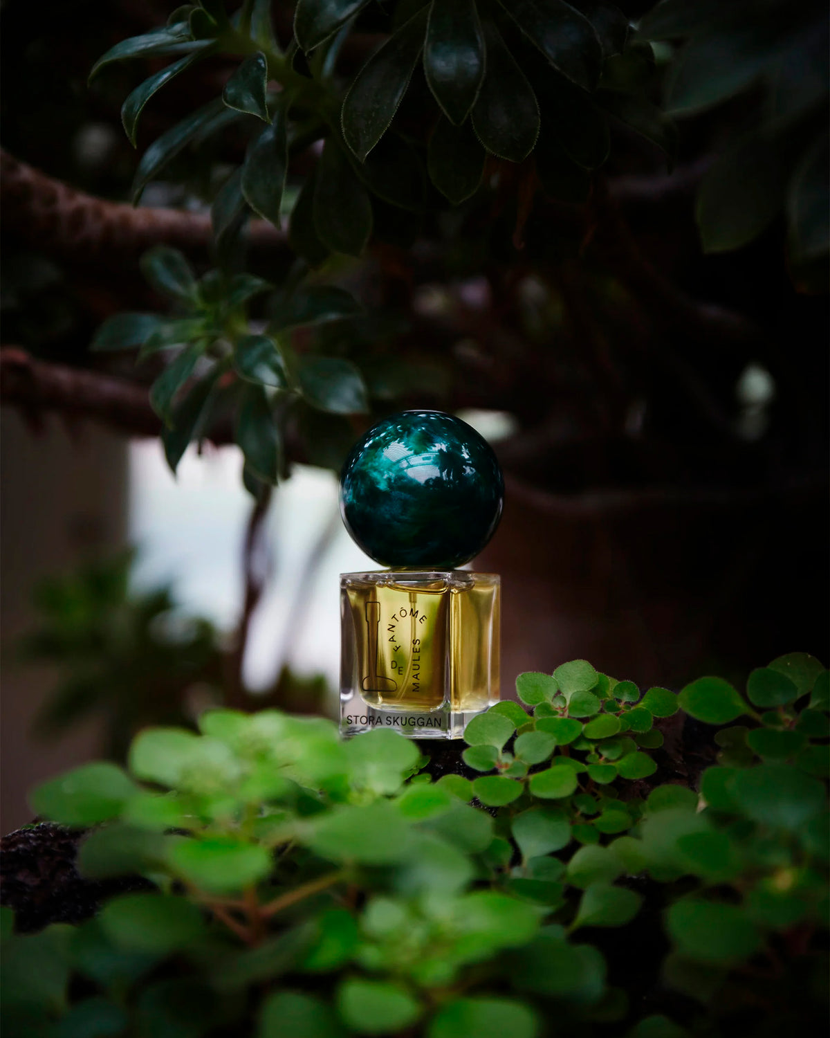 Fantôme De Maules Eau De Parfum