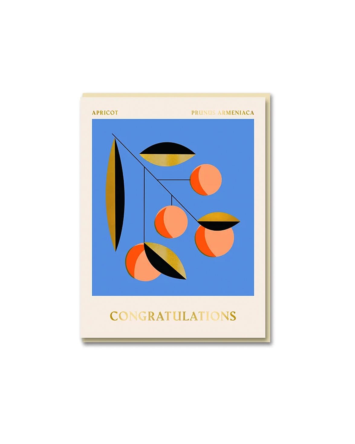 Apricot Congratulations Card