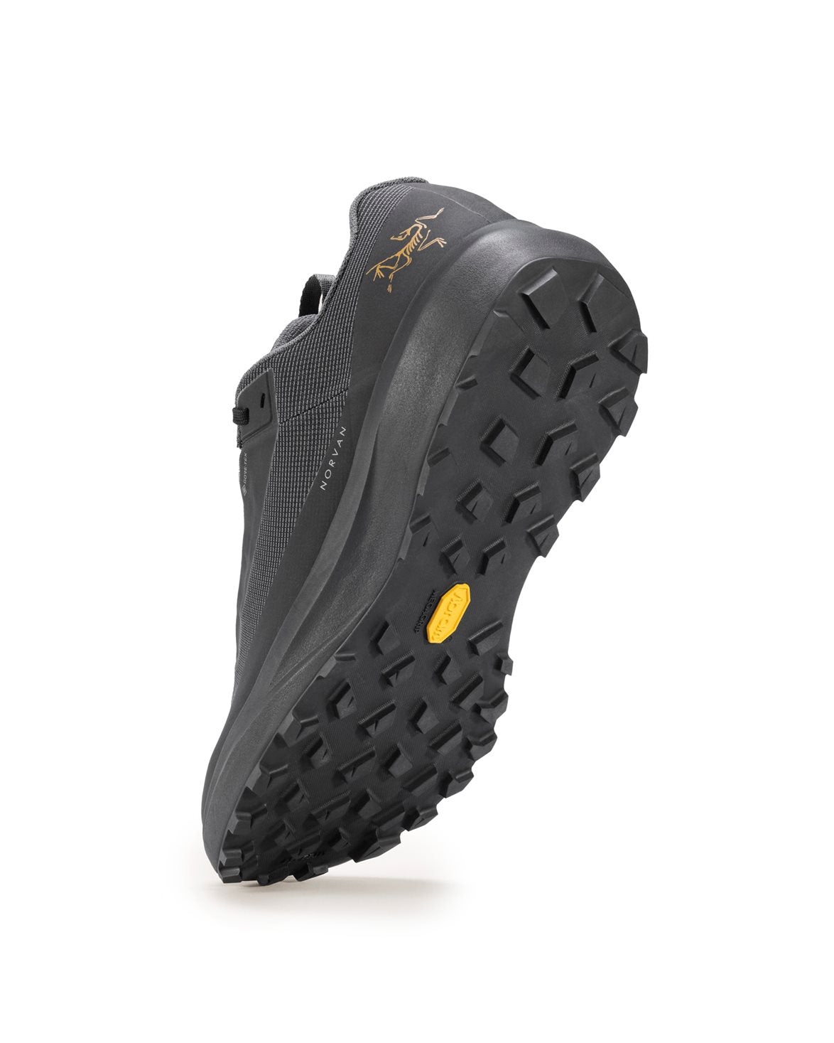 Norvan Ld 4 Gtx Shoes M Black/Black