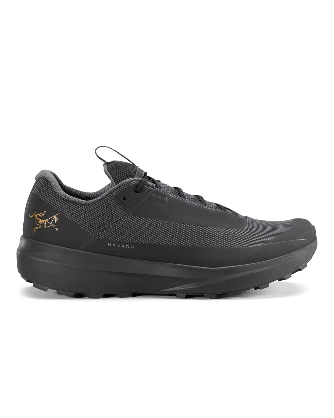 Norvan Ld 4 Gtx Shoes M Black/Black