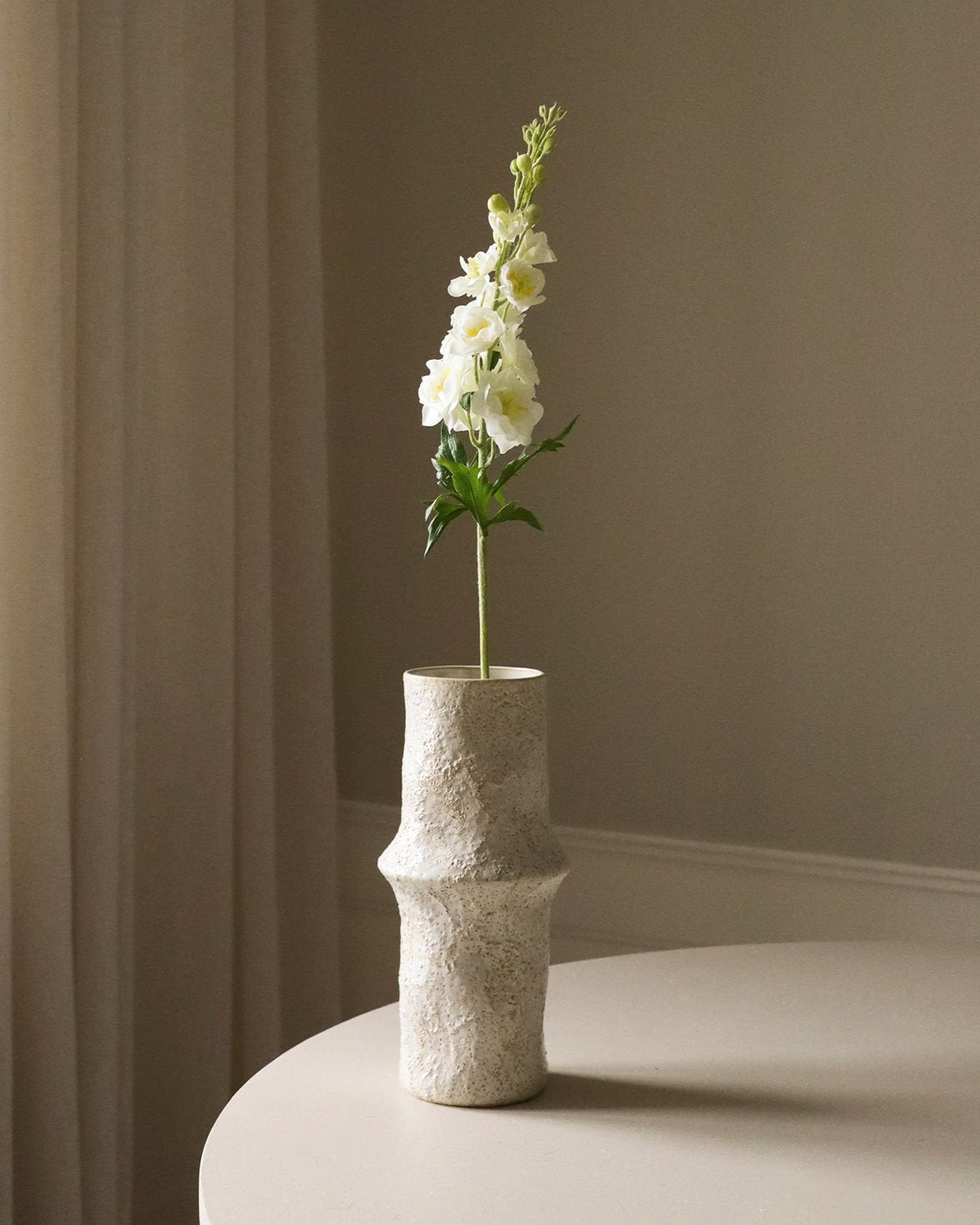 Delphinium Flower White