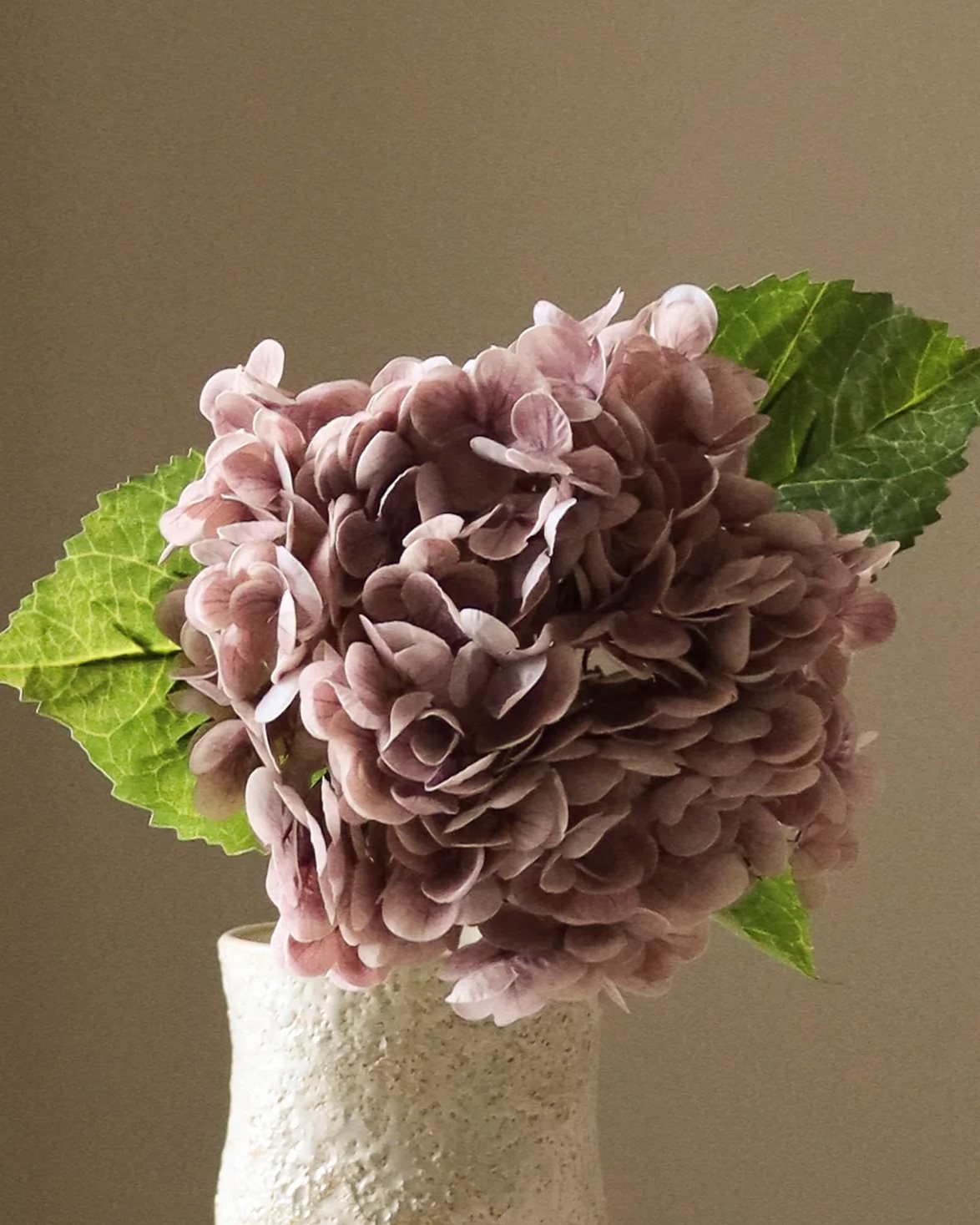 Hydrangea Flower Light Purple