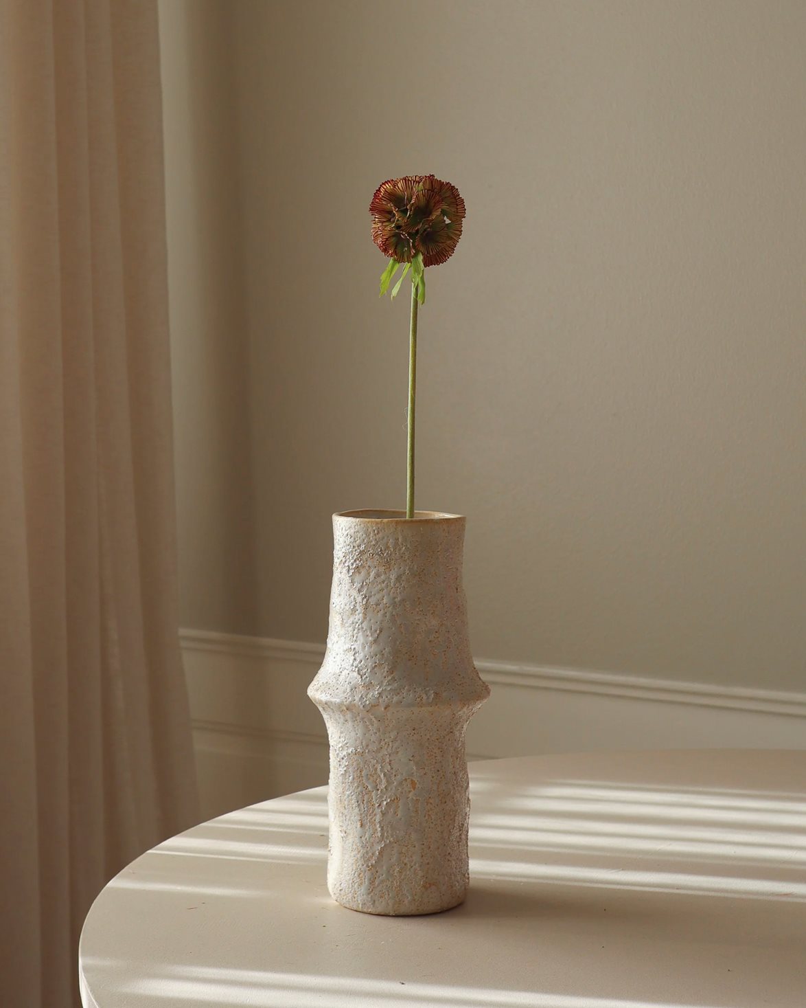 Scabiosa Seed Pod Flower Purple