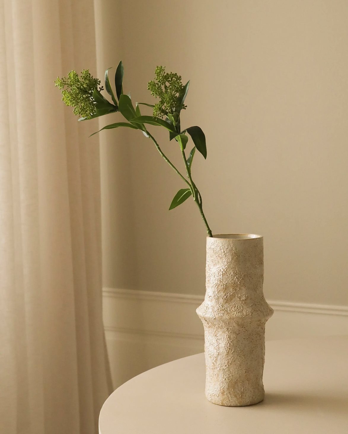 Skimmia Berry Branch Green