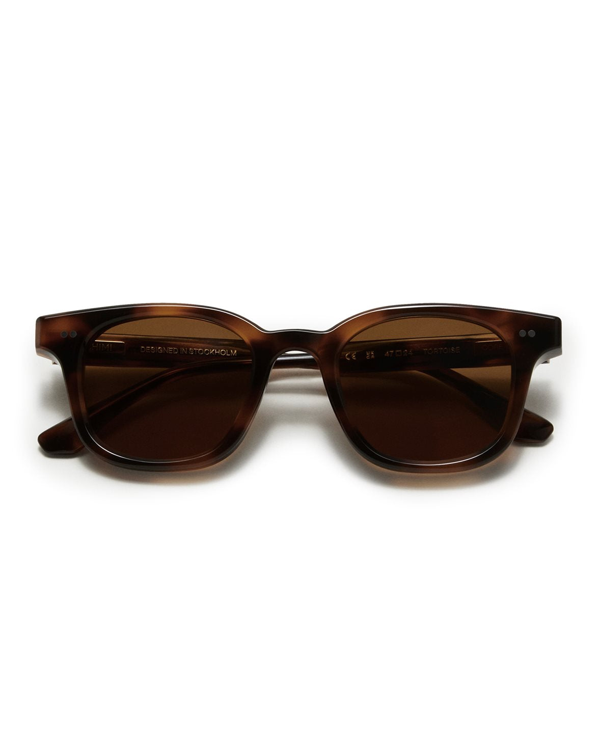 02 Tortoise