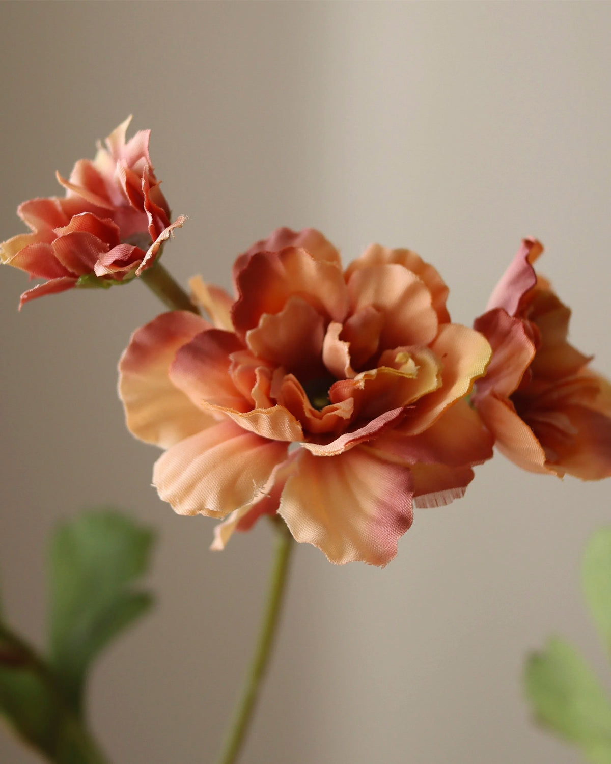 Zinnia Flower Orange