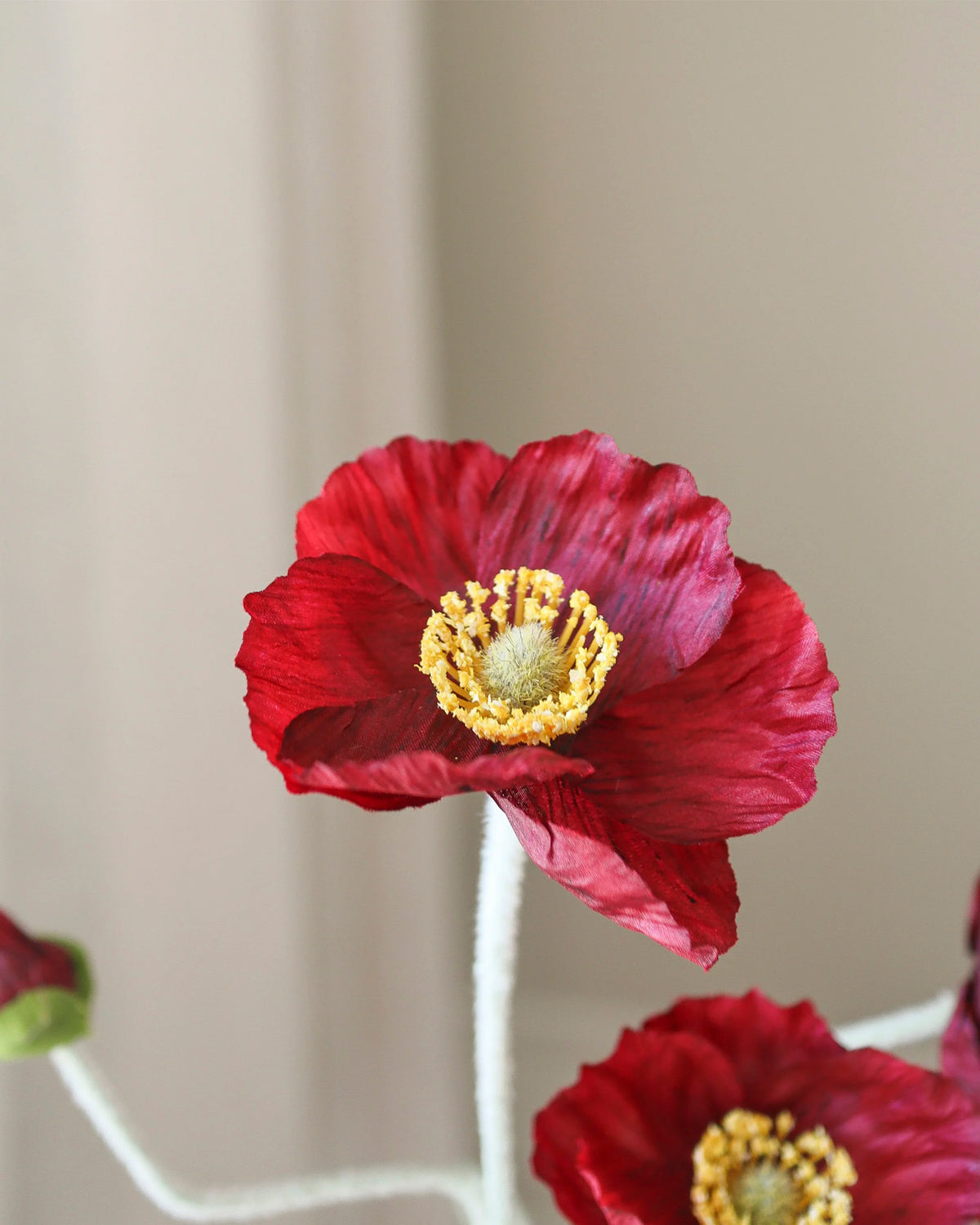 Poppy Flower Burgundy