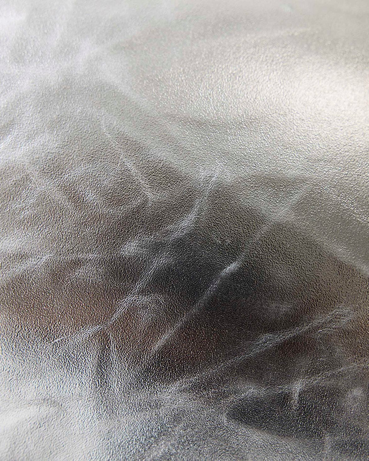 Metallic Cushion Silver Lining