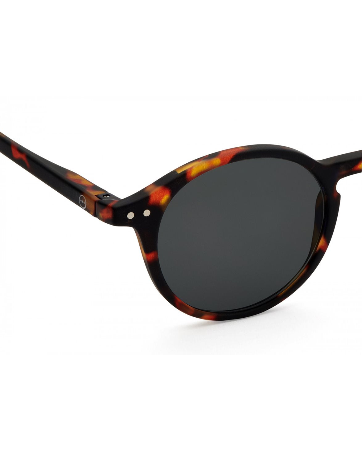 #D Sun Tortoise Soft