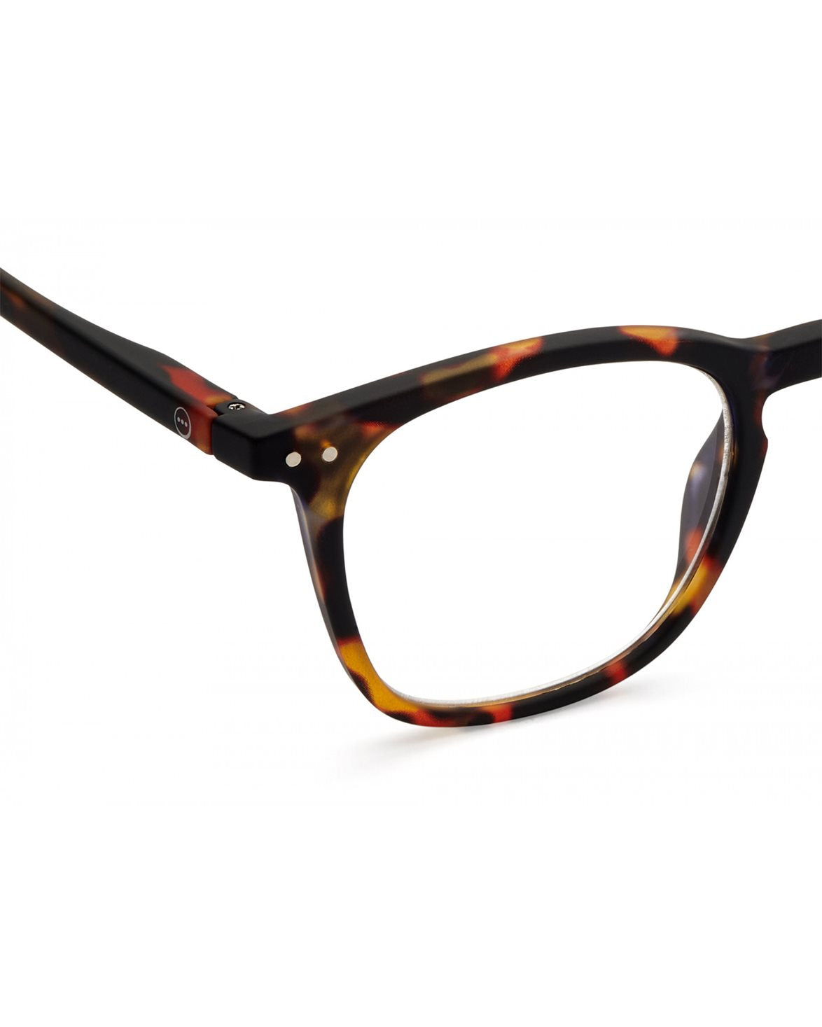 #E Reading Tortoise Soft