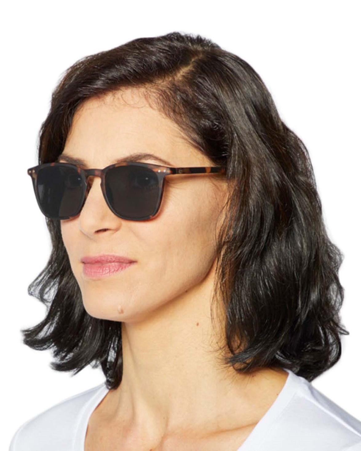 #E Sun Tortoise Soft