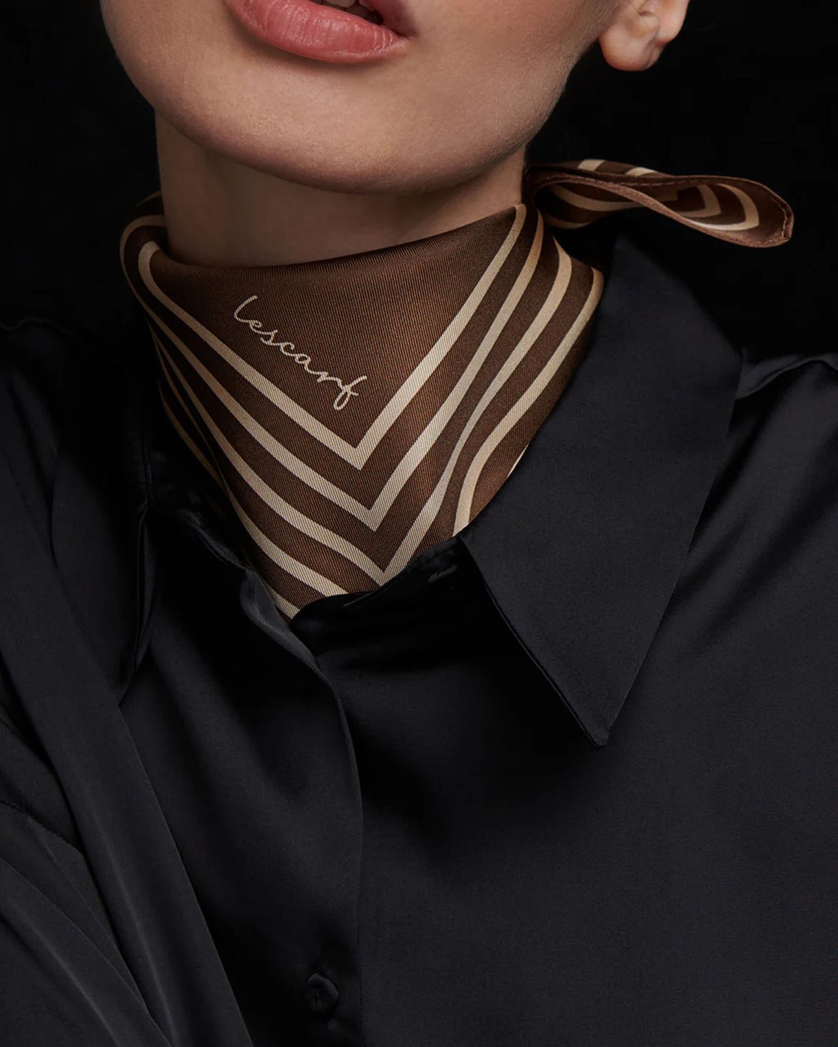 Striped Silk Scarf S Chocolate