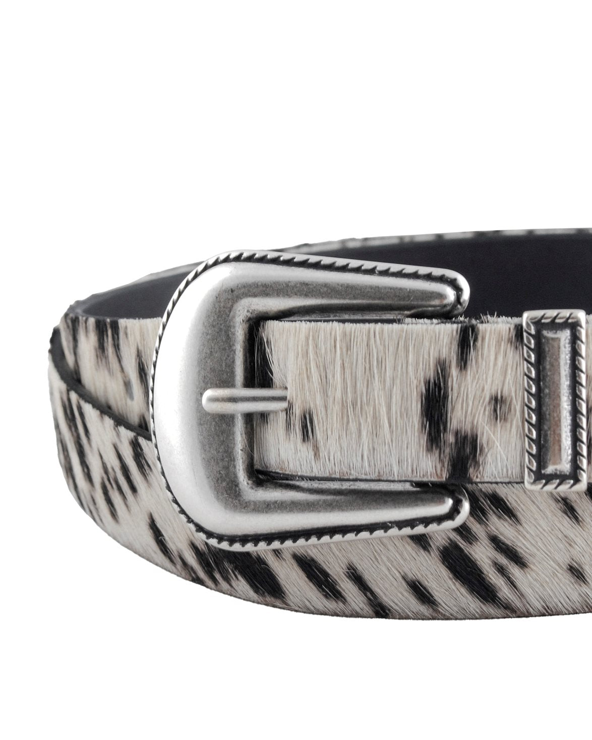 Western Belt Cow