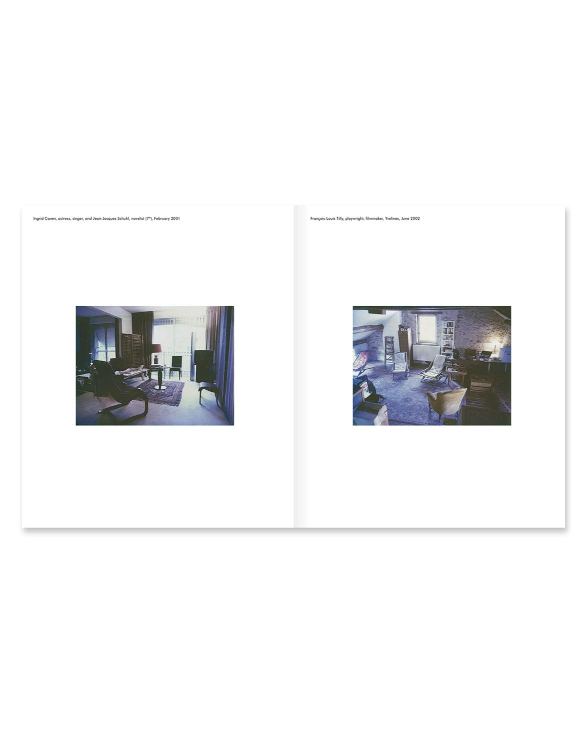 New York Living Rooms By Dominique Nabokov