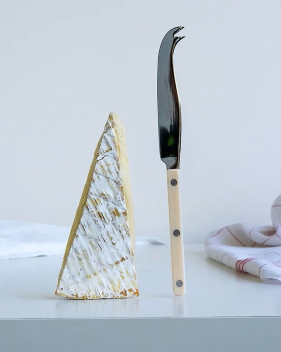 Bistro Cheese Knife Ivory