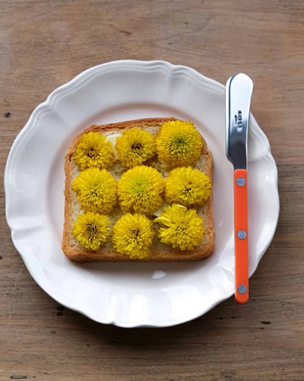 Bistro Spreader Orange