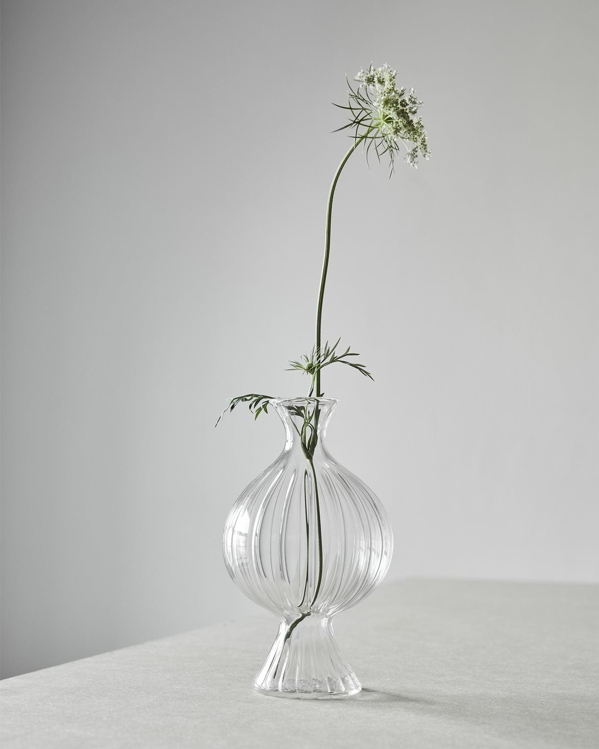 Como Ripple Vase Medium Clear