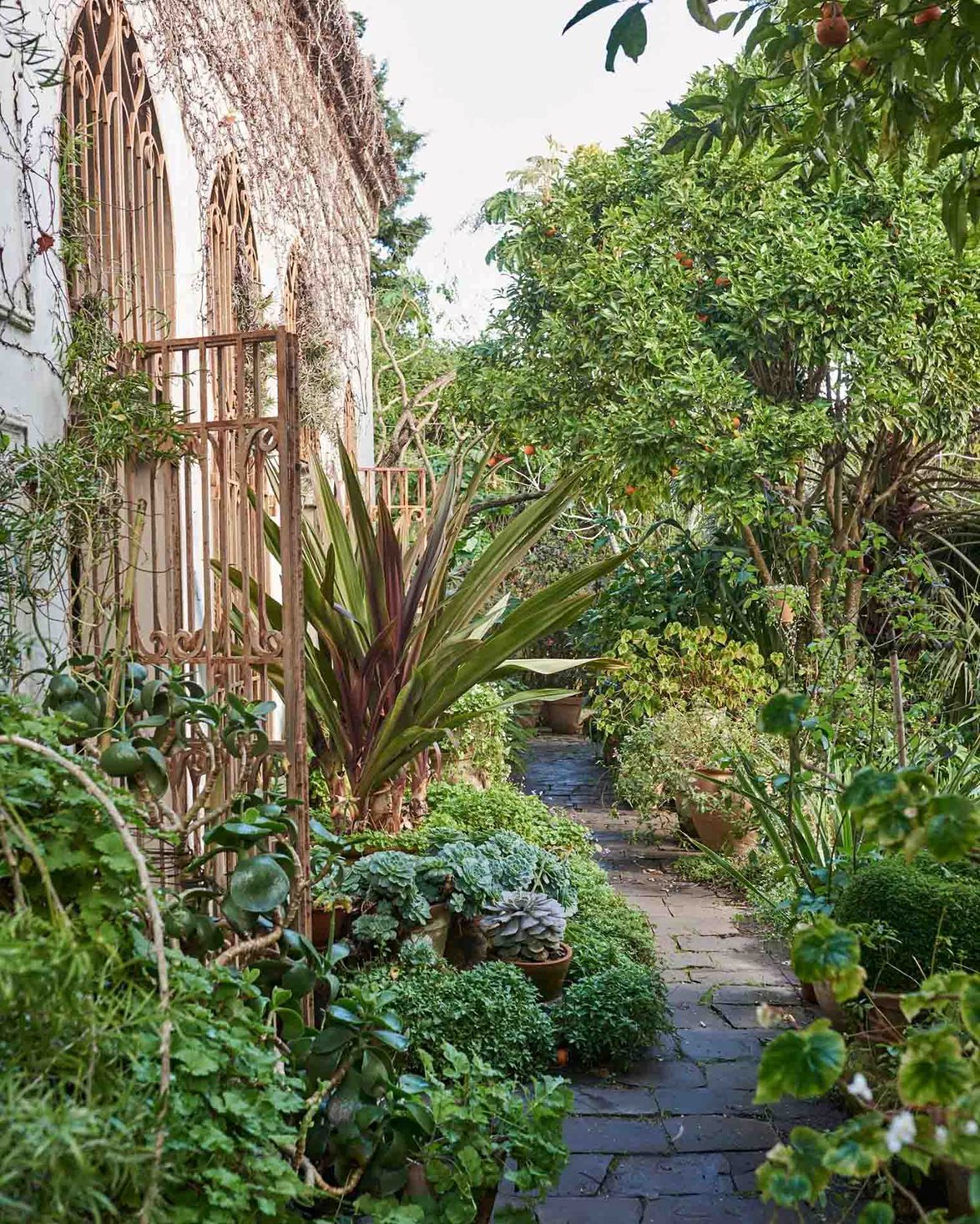 The Kinfolk Garden