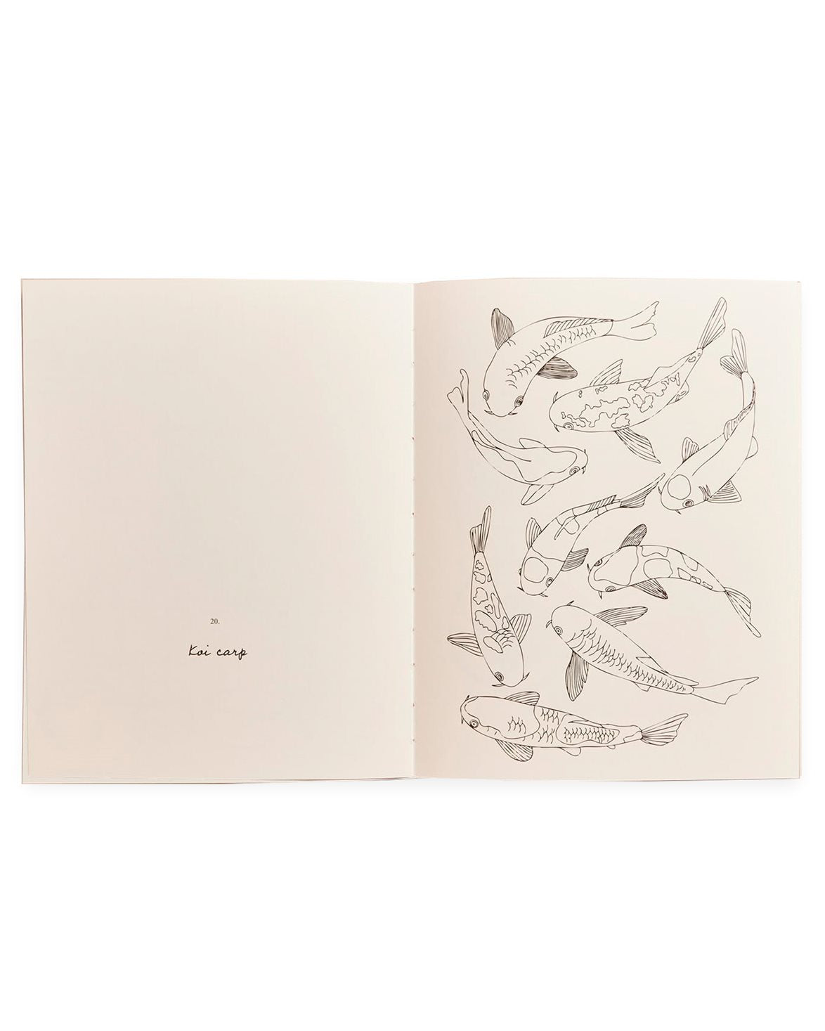 Tokyo Colouring Book By Zoé De Las Cases