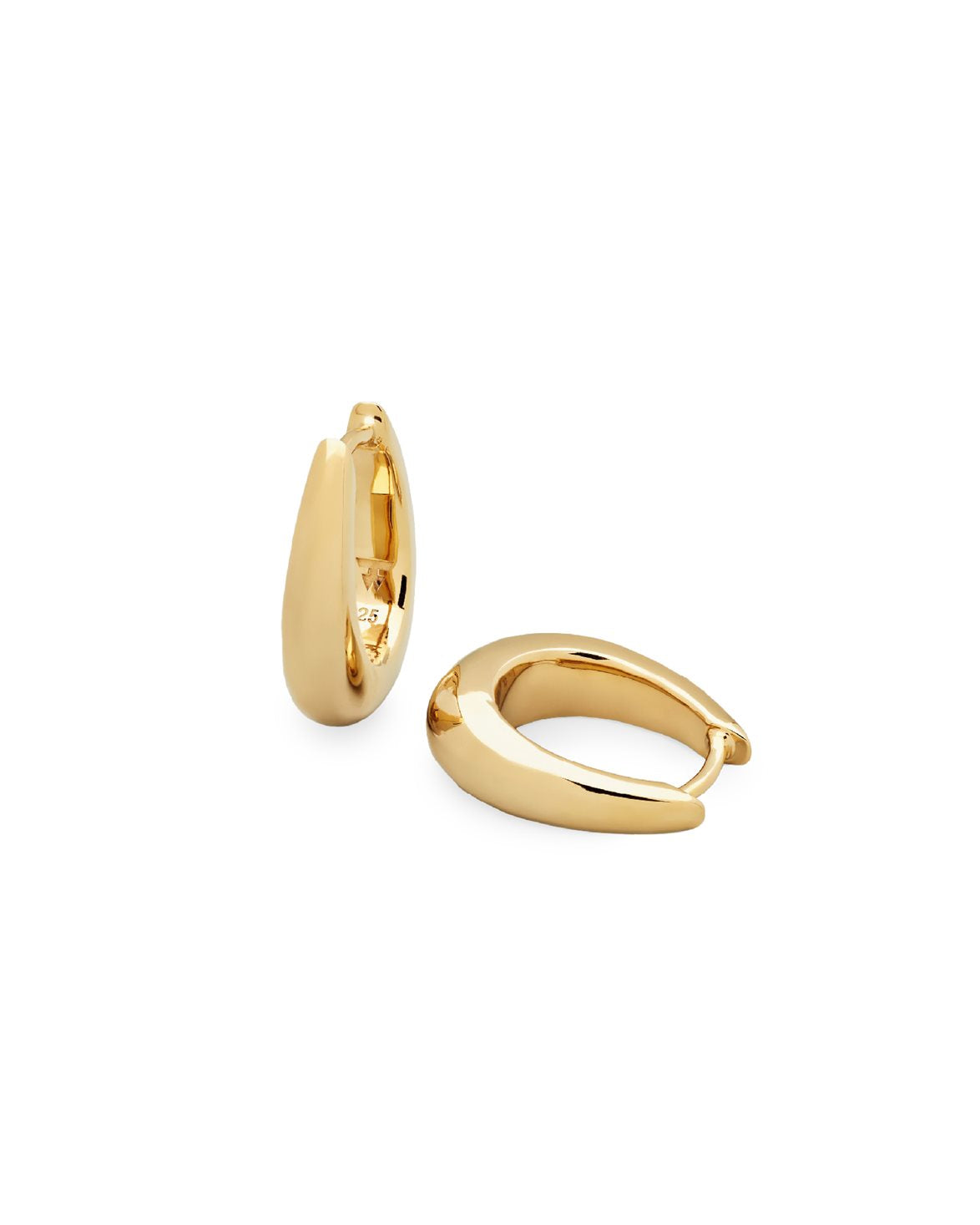 Liz Hoop Gold