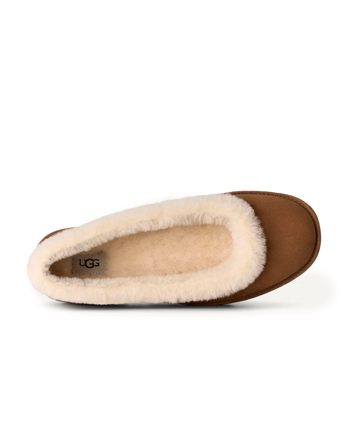 Zora Mary Jane W Chestnut