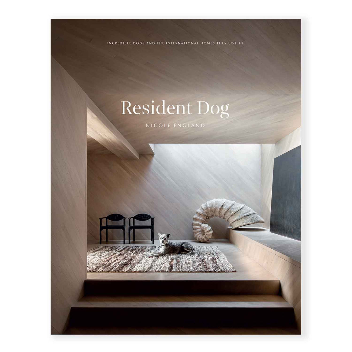 Resident Dog