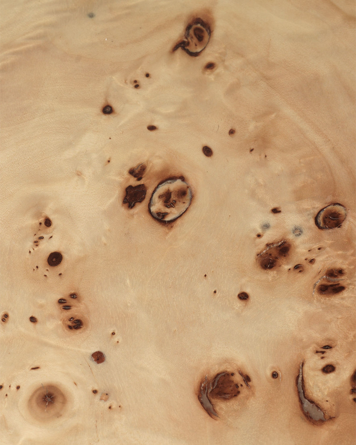 Burl Post Coffee Table Small Natural