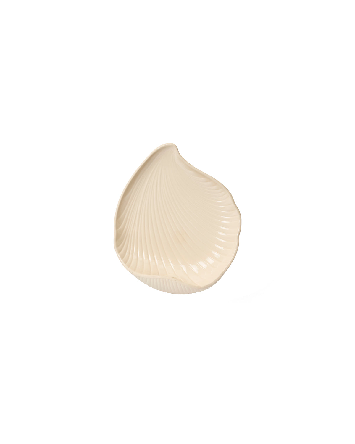 Shell Wall Candle Holder Off White