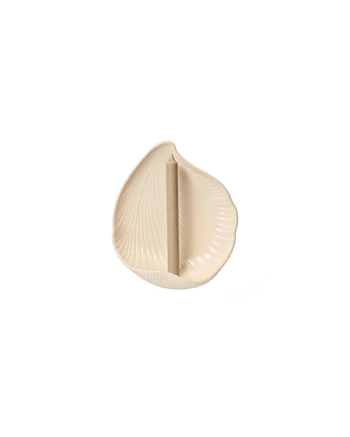 Shell Wall Candle Holder Off White