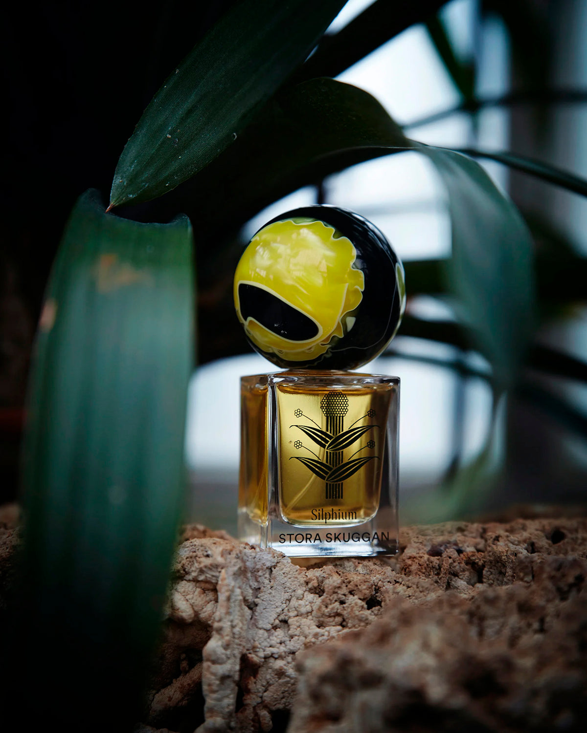 Silphium Eau De Parfum