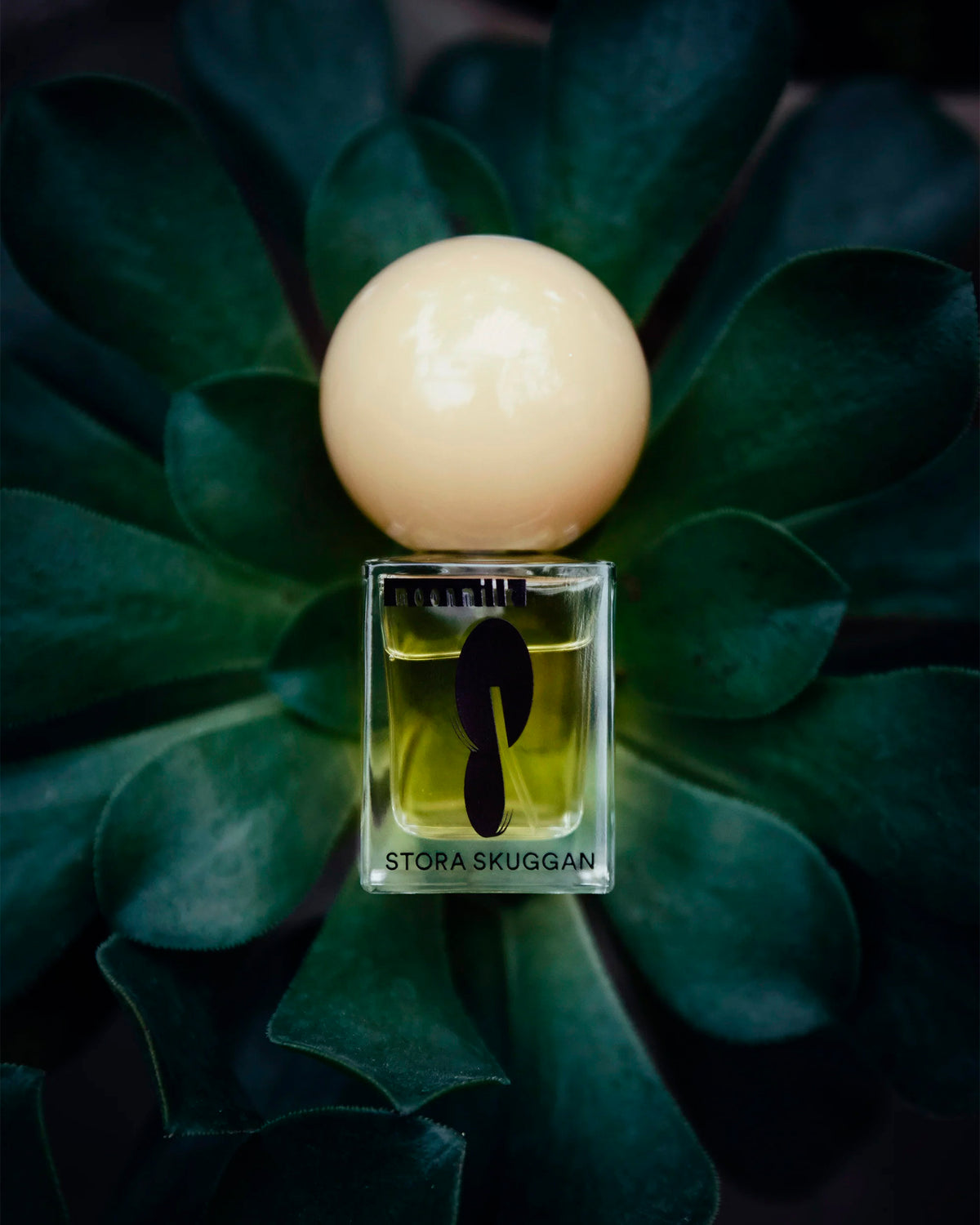 Moonmilk Eau De Parfum