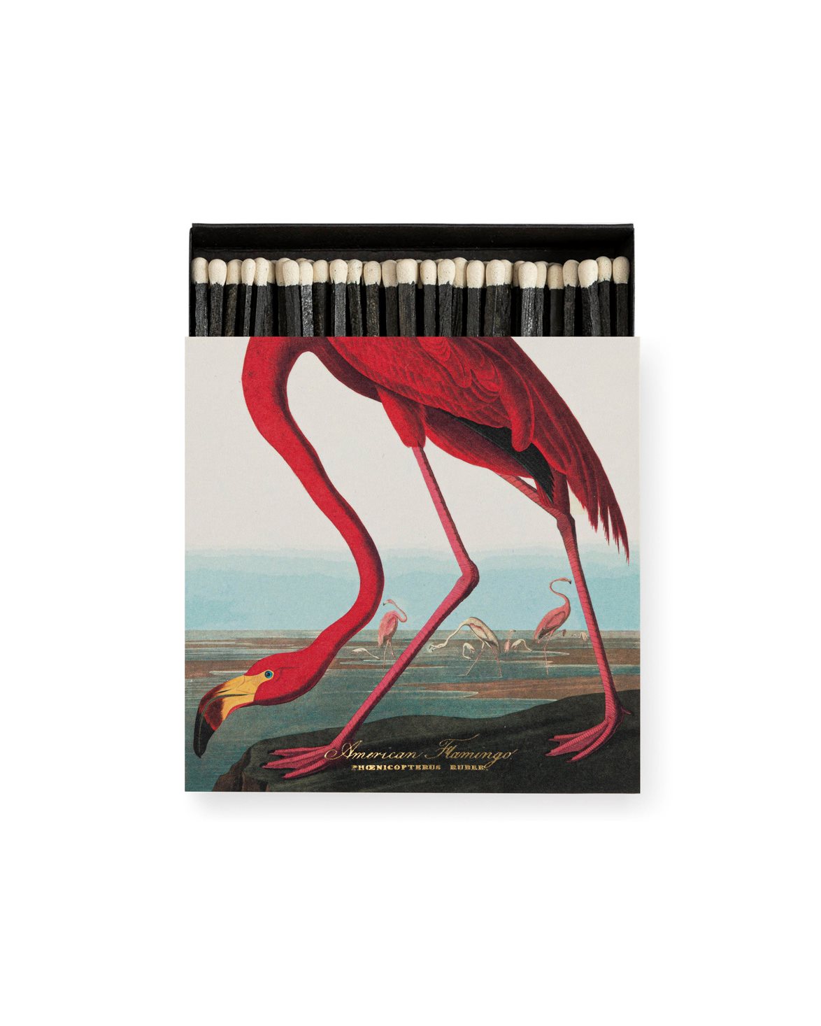 The American Flamingo By Audubon Match Box