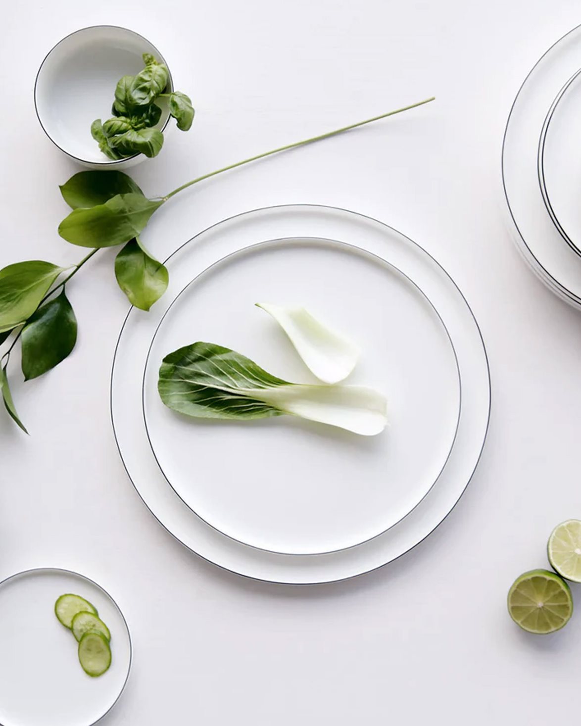 Dinner Plate Black Rim White