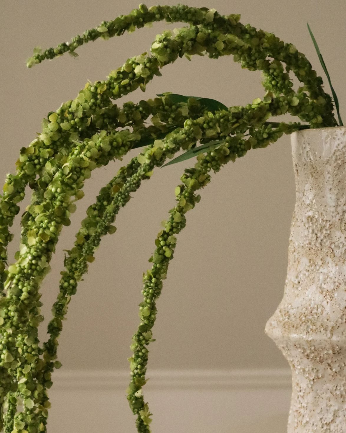 Amaranthus Flower Green