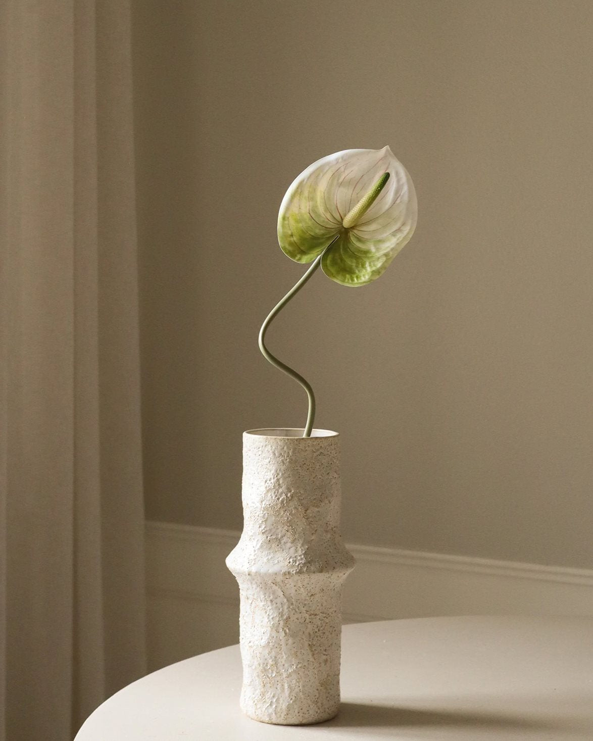 Anthurium Flower Light Green