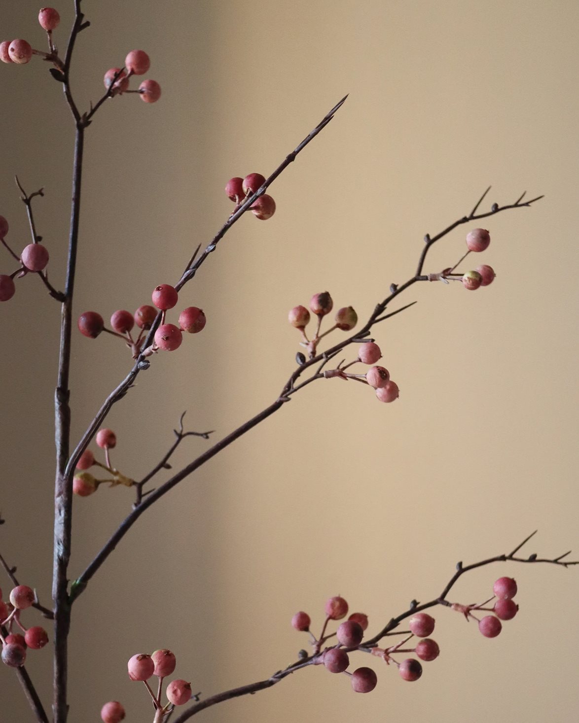 Berry Branch Pink