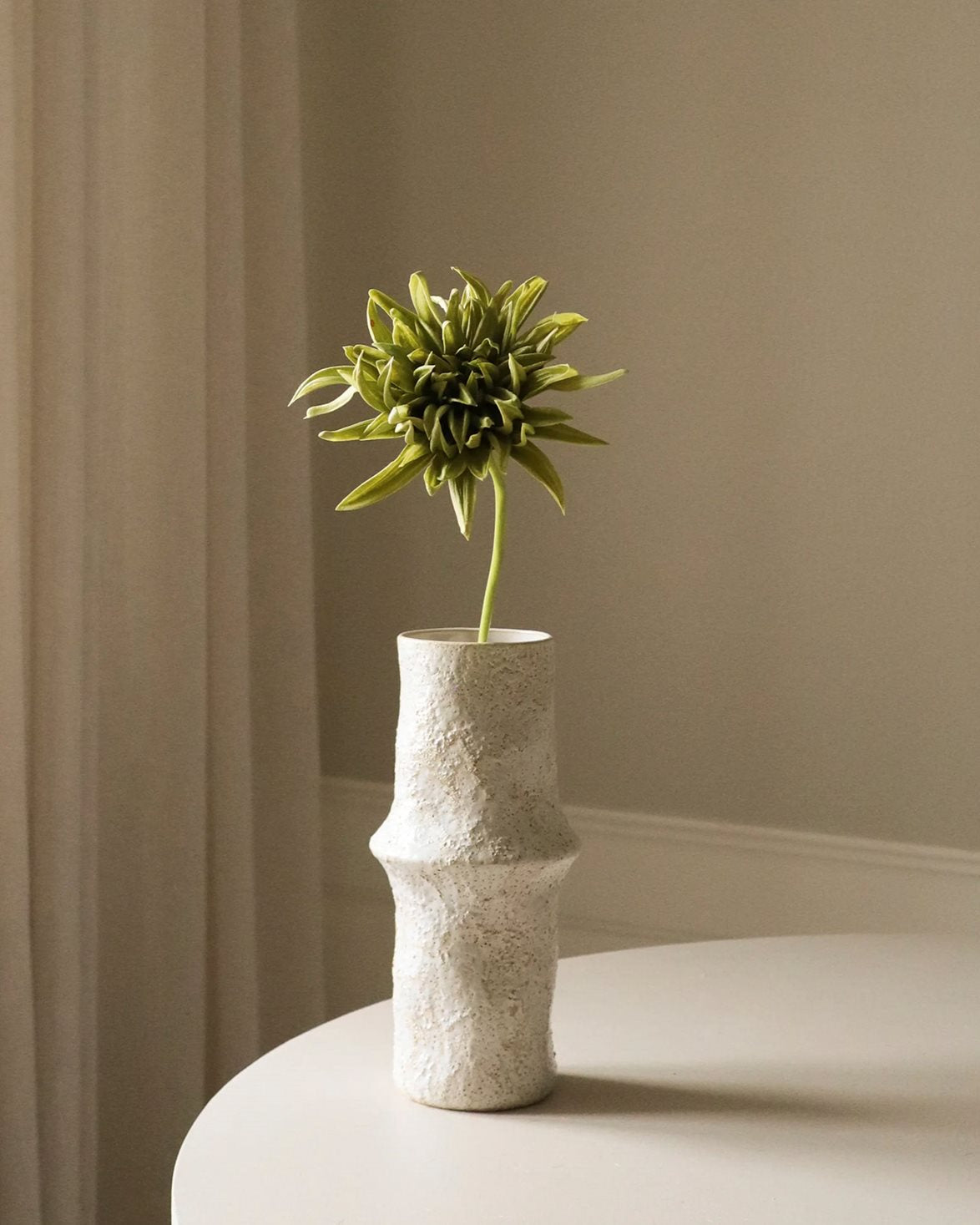 Cactus Dahlia Flower Green