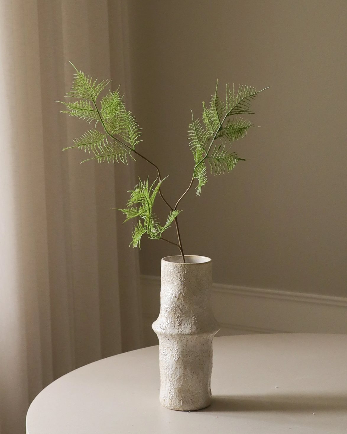 Fern Leaves Green