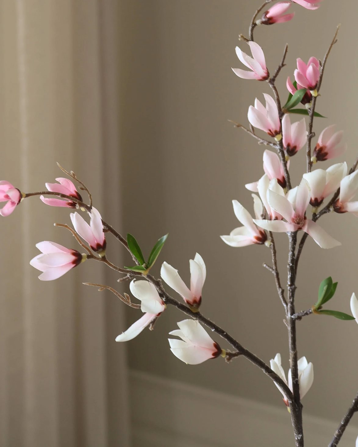 Star Magnolia Branch Pink