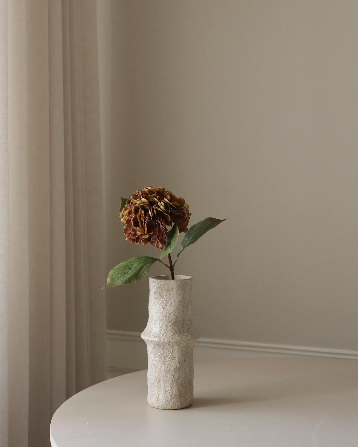 Hydrangea Flower Faded Brown