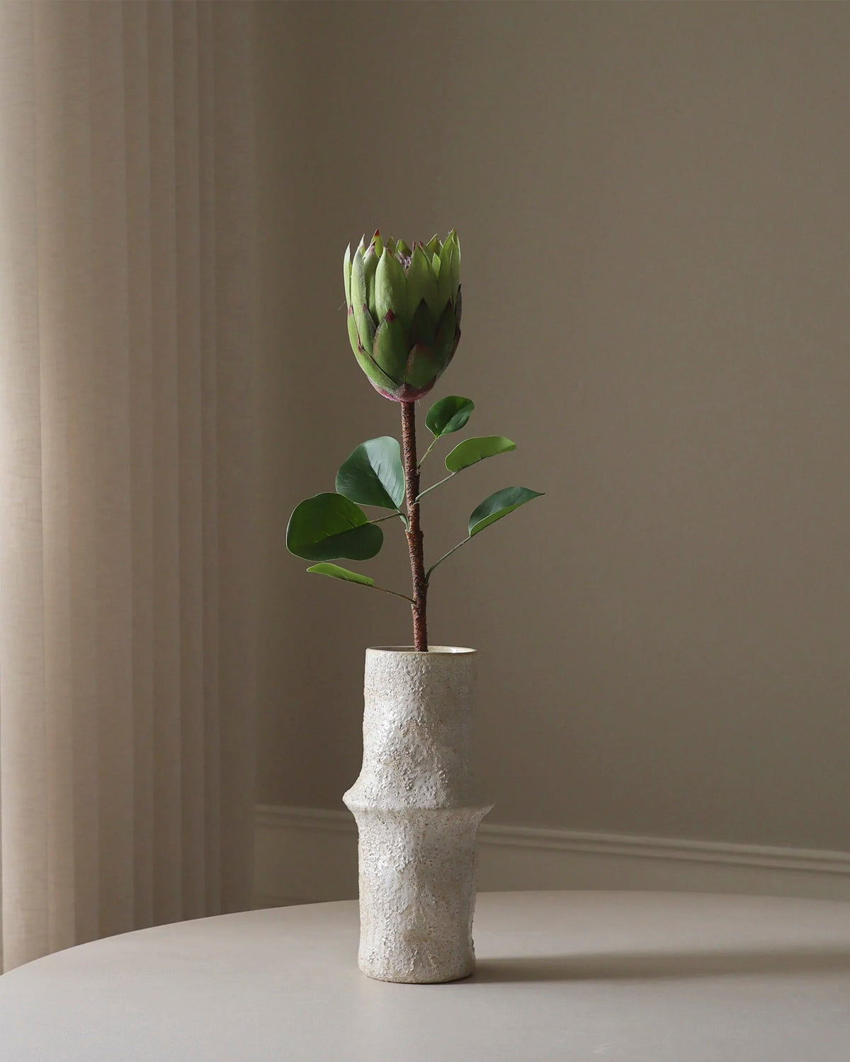 King Protea Flower Green