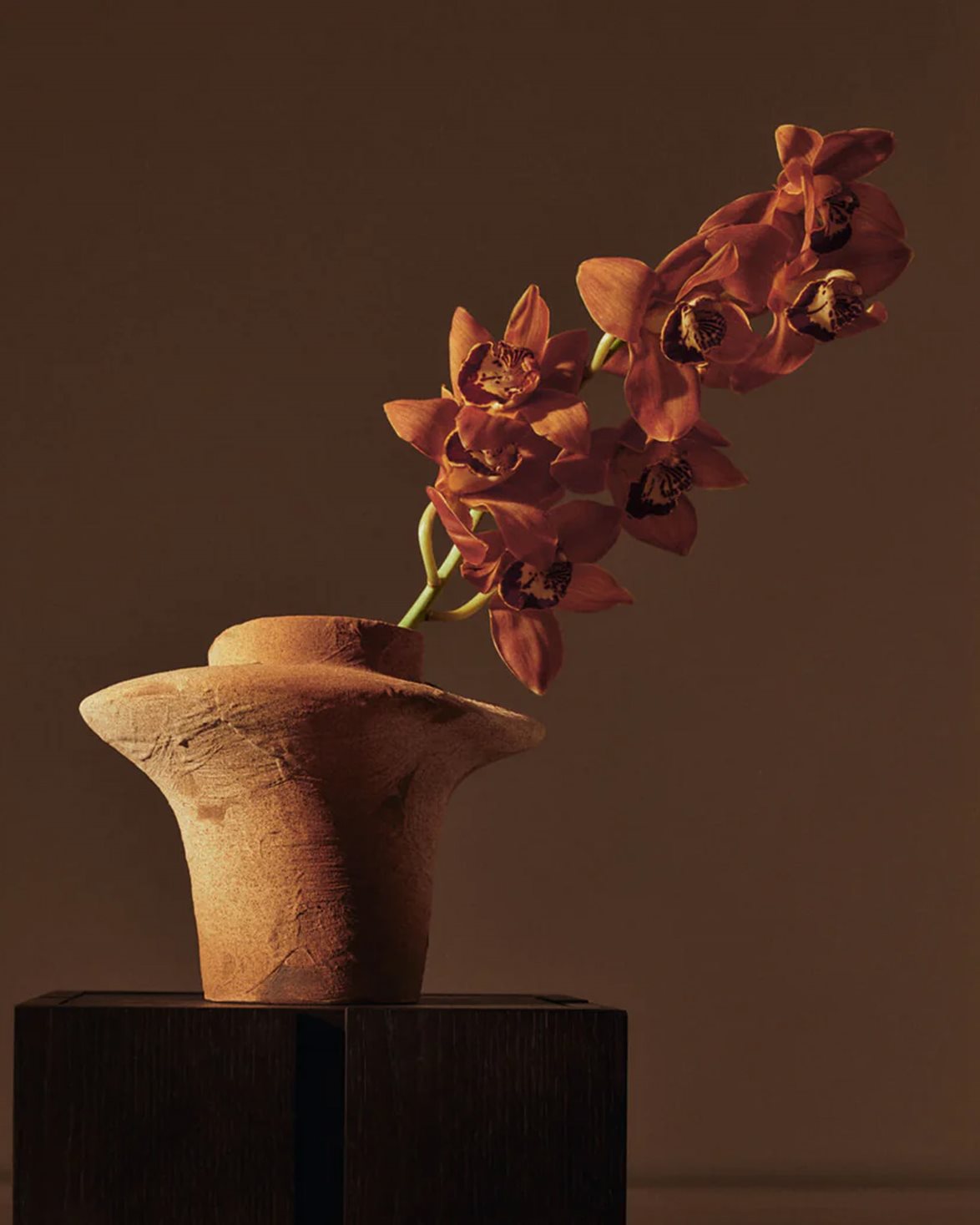 Evio Vase H22 Burnt Umber