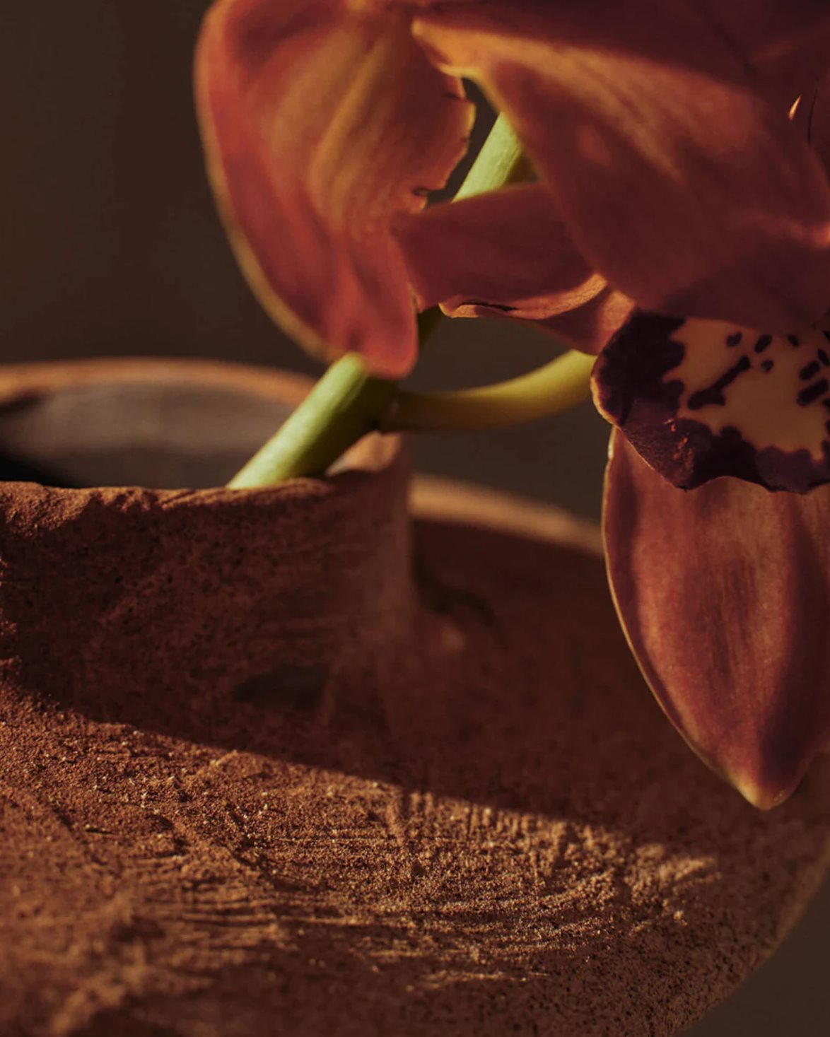 Evio Vase H22 Burnt Umber