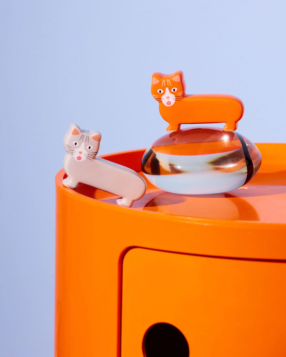 Salt & Pepper Cat Grey/Orange