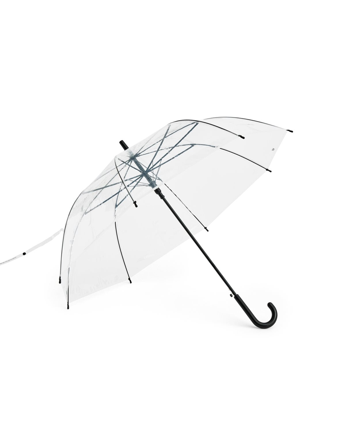 Canopy Umbrella Clear