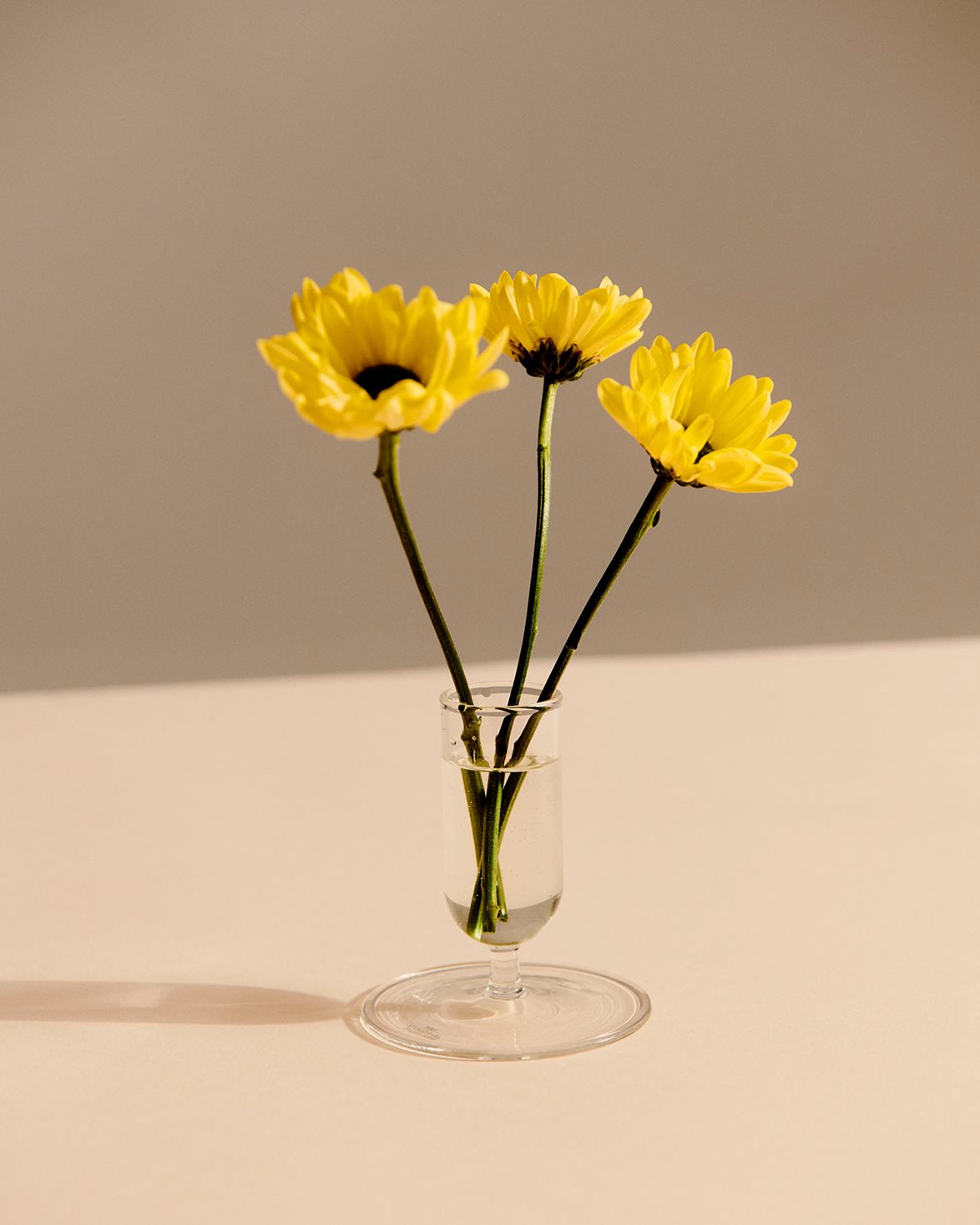 Tiny Vase Clear