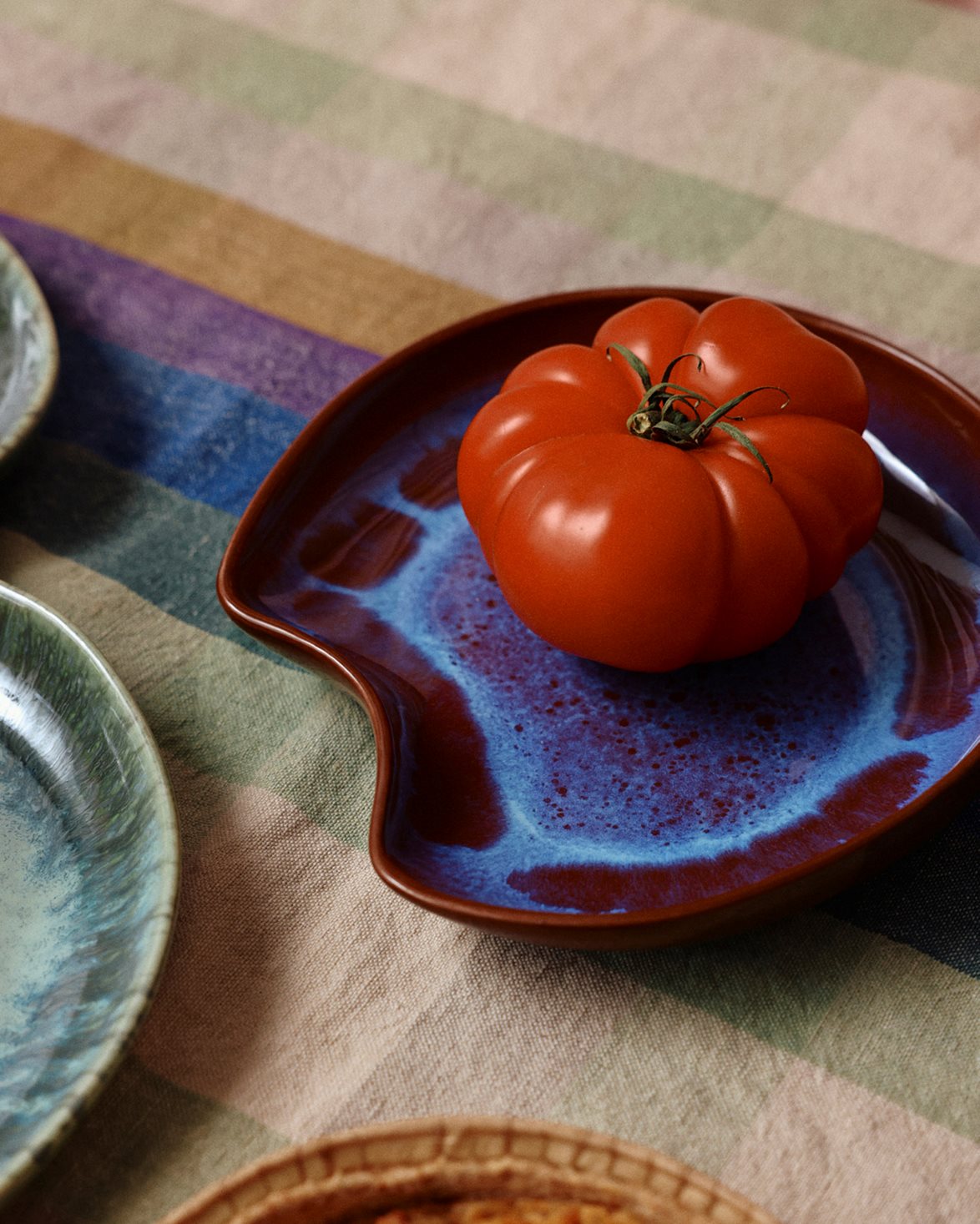 Shell Plate Multicolour