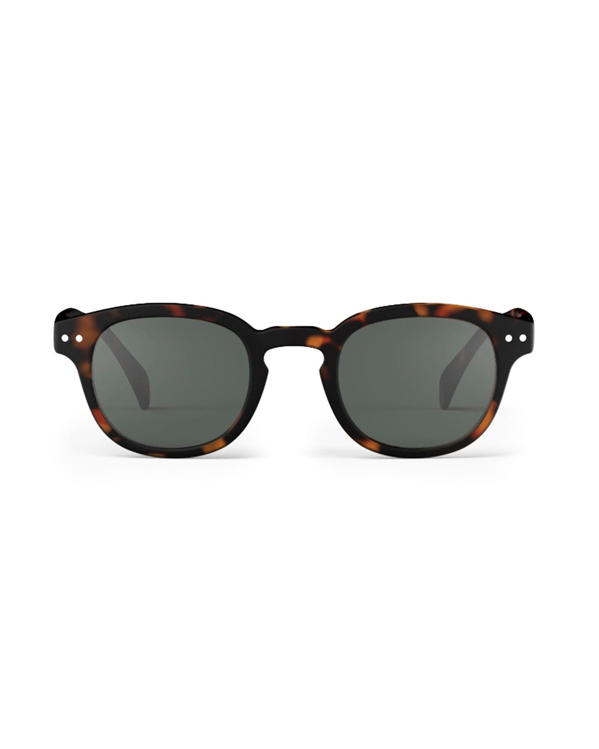 #C Sun Tortoise
