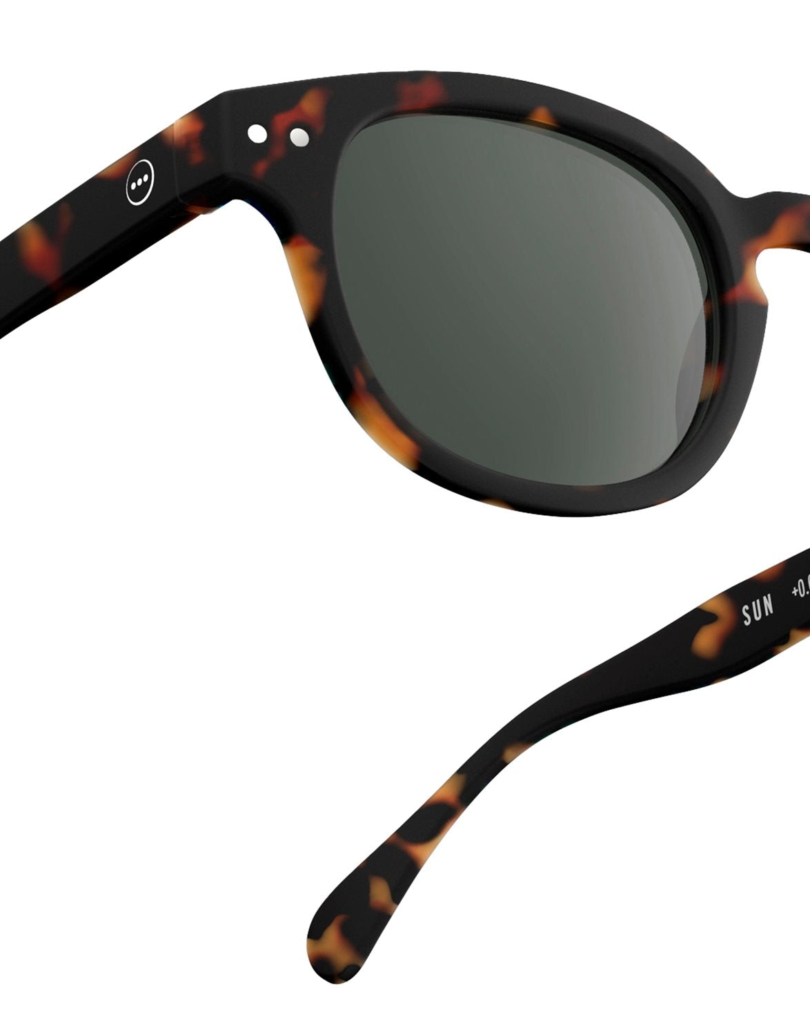 #C Sun Tortoise