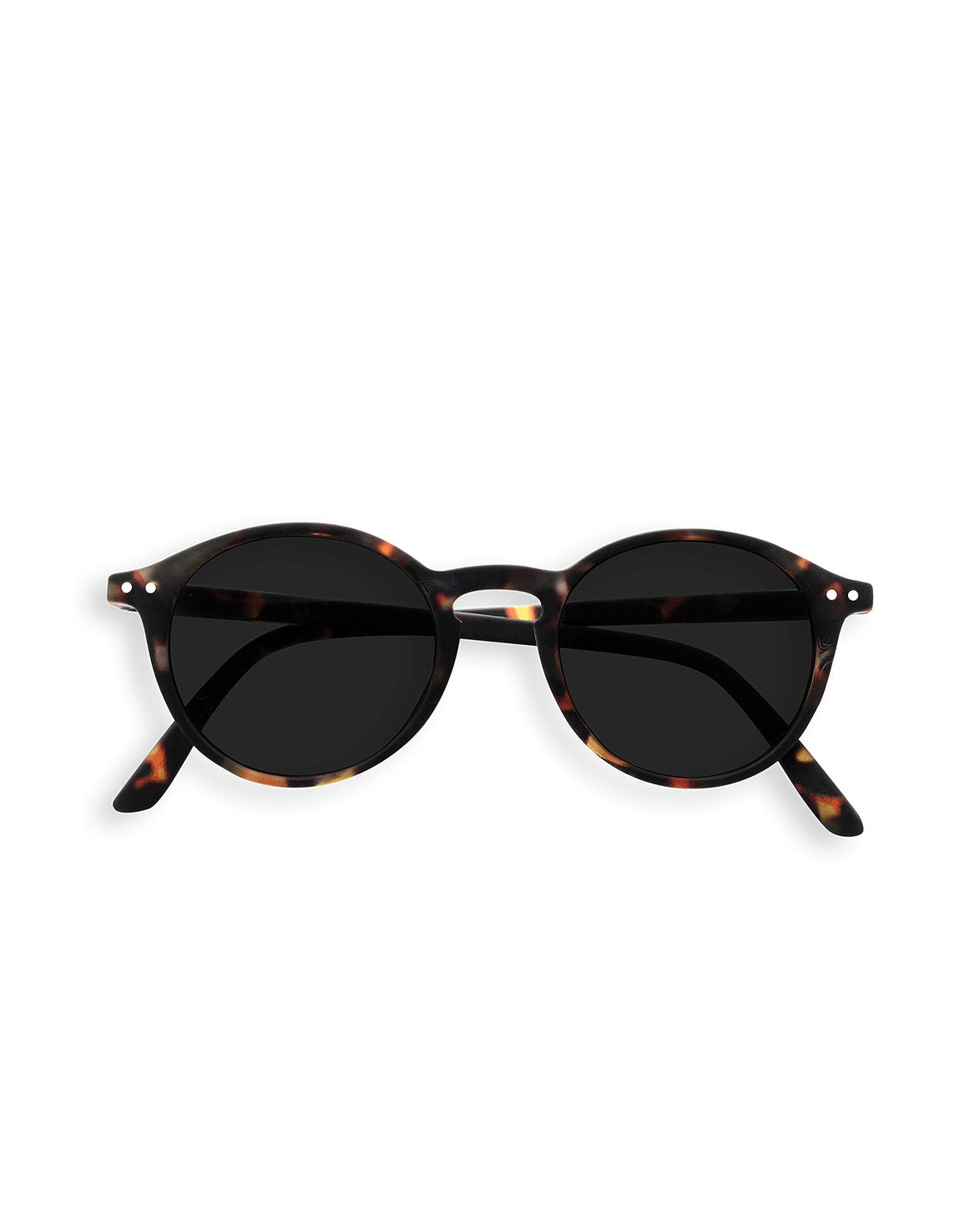 #D Sun Tortoise Soft